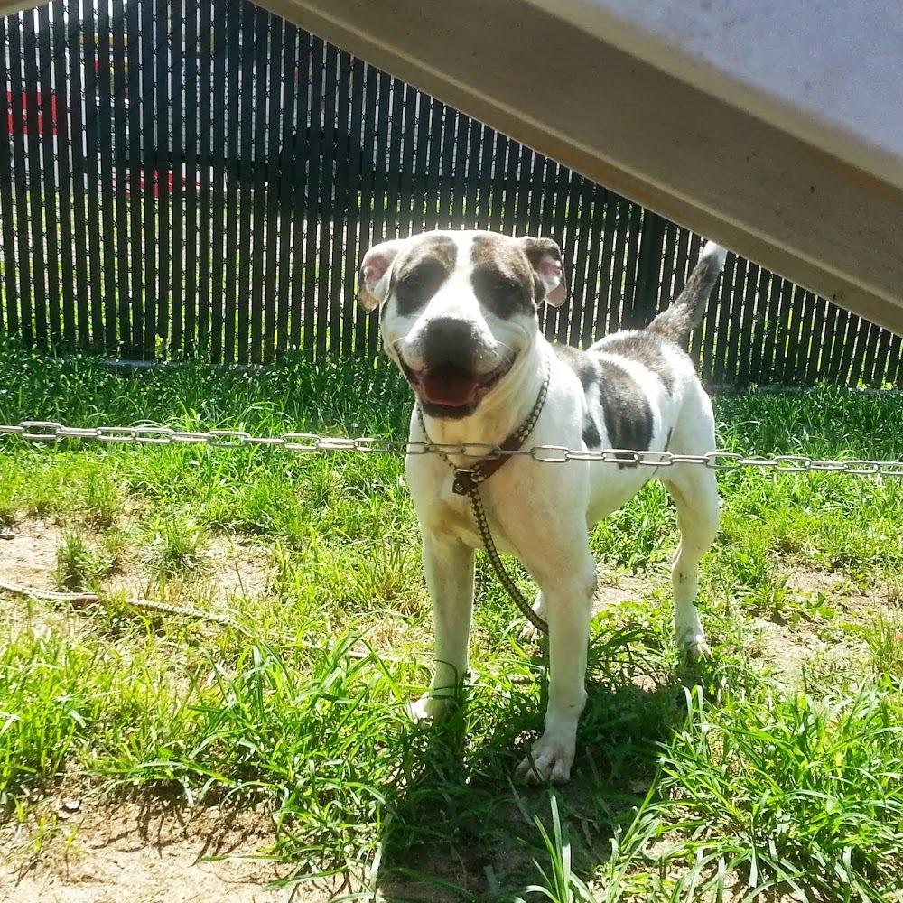 Meet your Posher, Seonaid